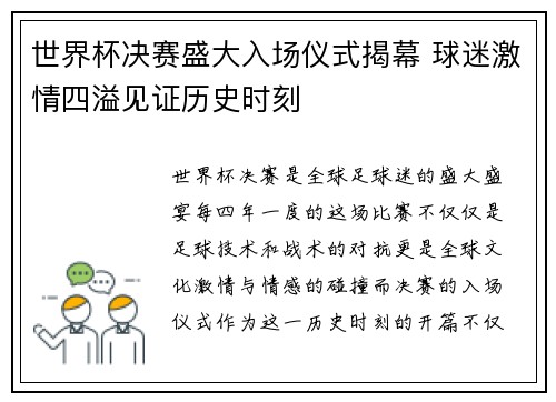 世界杯决赛盛大入场仪式揭幕 球迷激情四溢见证历史时刻